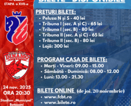Biletele la FC Botoșani – Dinamo