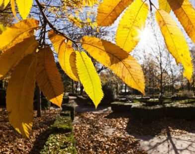ANM - Temperaturi mai ridicate decât cele specifice în perioada următoare