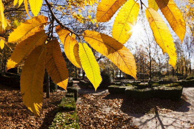 ANM - Temperaturi mai ridicate decât cele specifice în perioada următoare